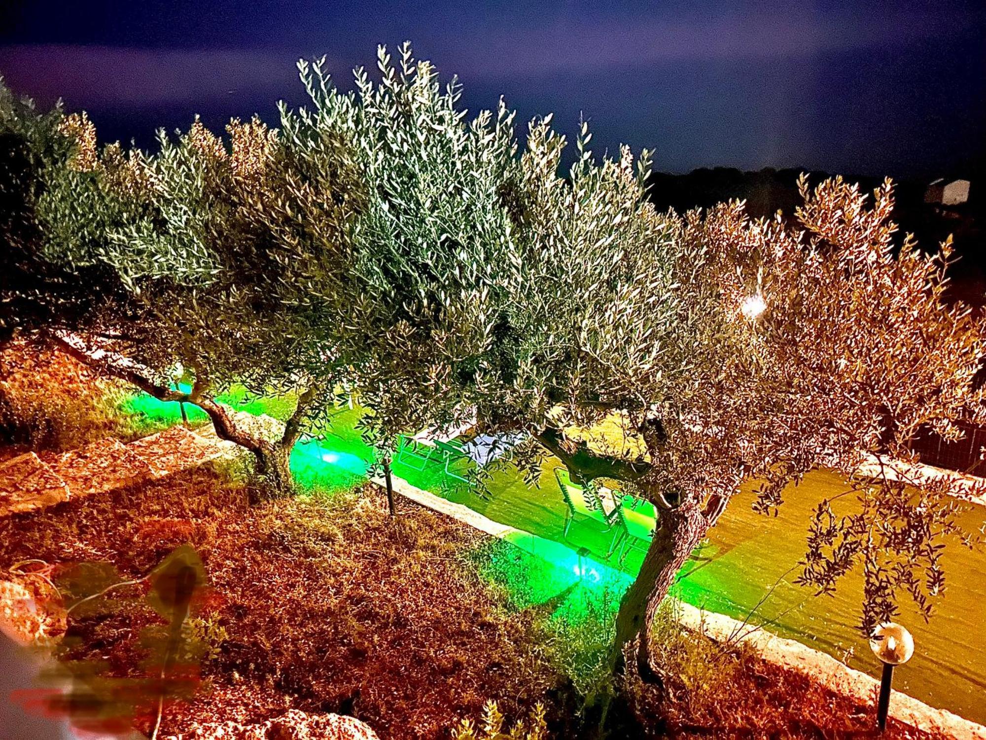 La Collina Sul Mare Bed and Breakfast Palma di Montechiaro Εξωτερικό φωτογραφία